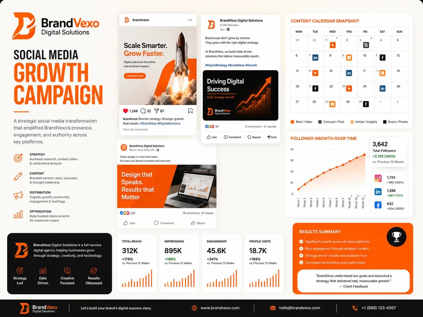BrandVexo social media growth campaign
